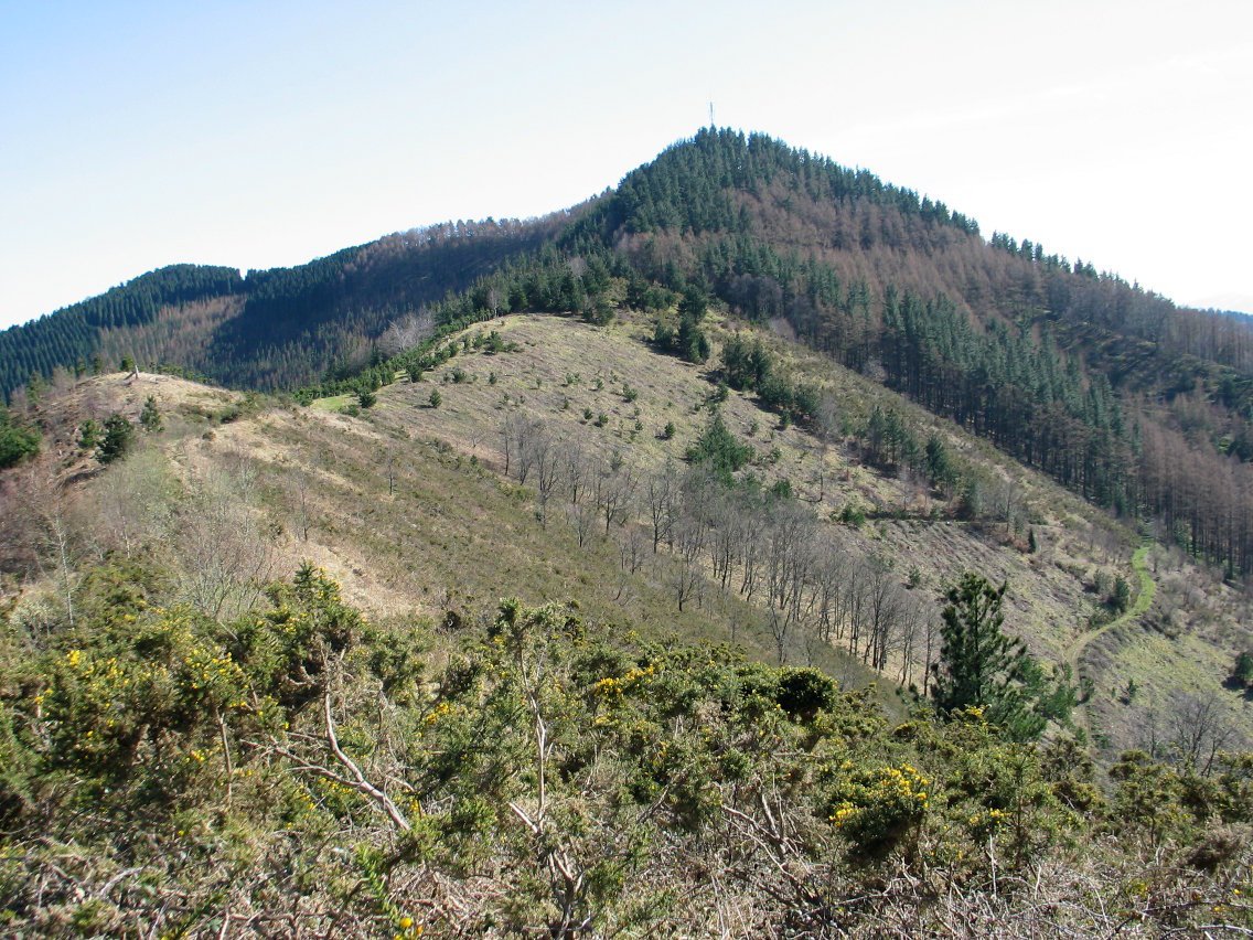 Eibar aldeko bizkarretik