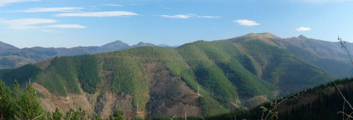 Loitako bizkarra, Azkuaraino igotzen dena