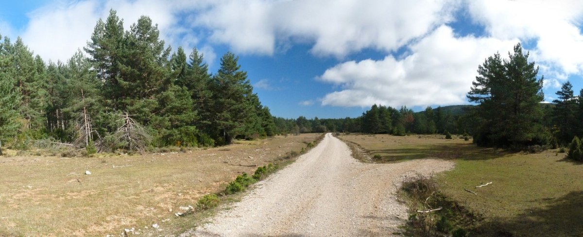 Grumalo hegoaldeko larreak, abelbideak zeharkatuta