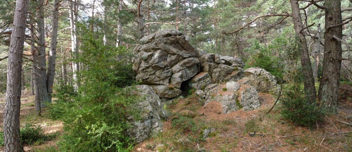 Forma arraroko harriak basoan