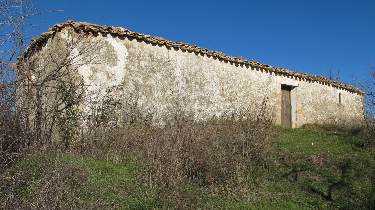 Andremaria ermita, Hiriberri