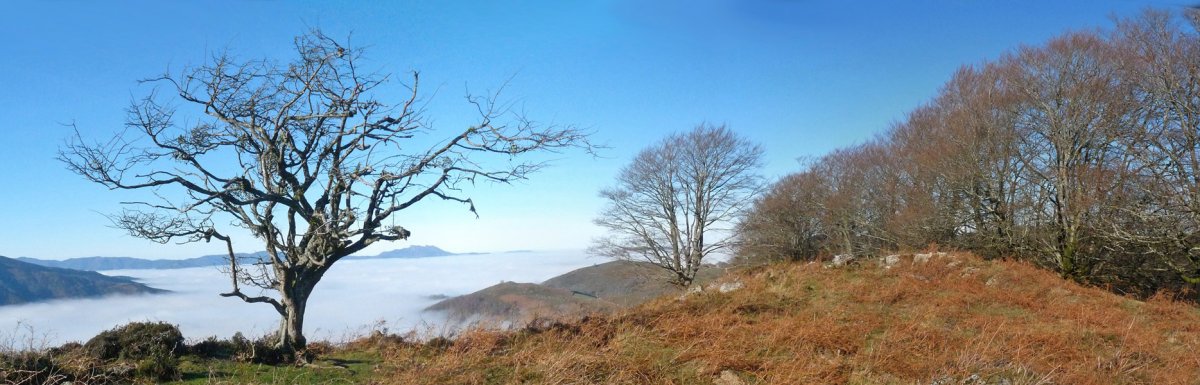 Zamateluko harrien gailurra