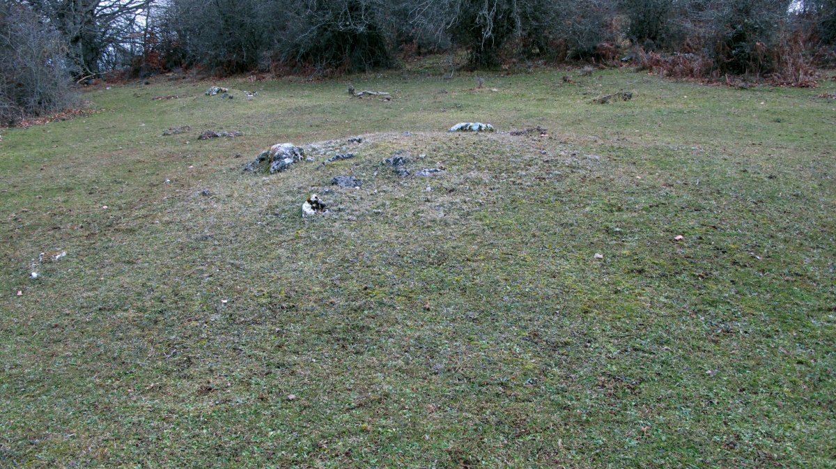 Larraonako Bidea ipar tumulua (2)