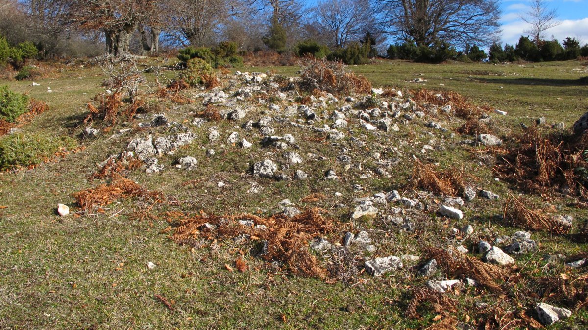 Ostalaza 2 (1-UTM-560485-4738394)