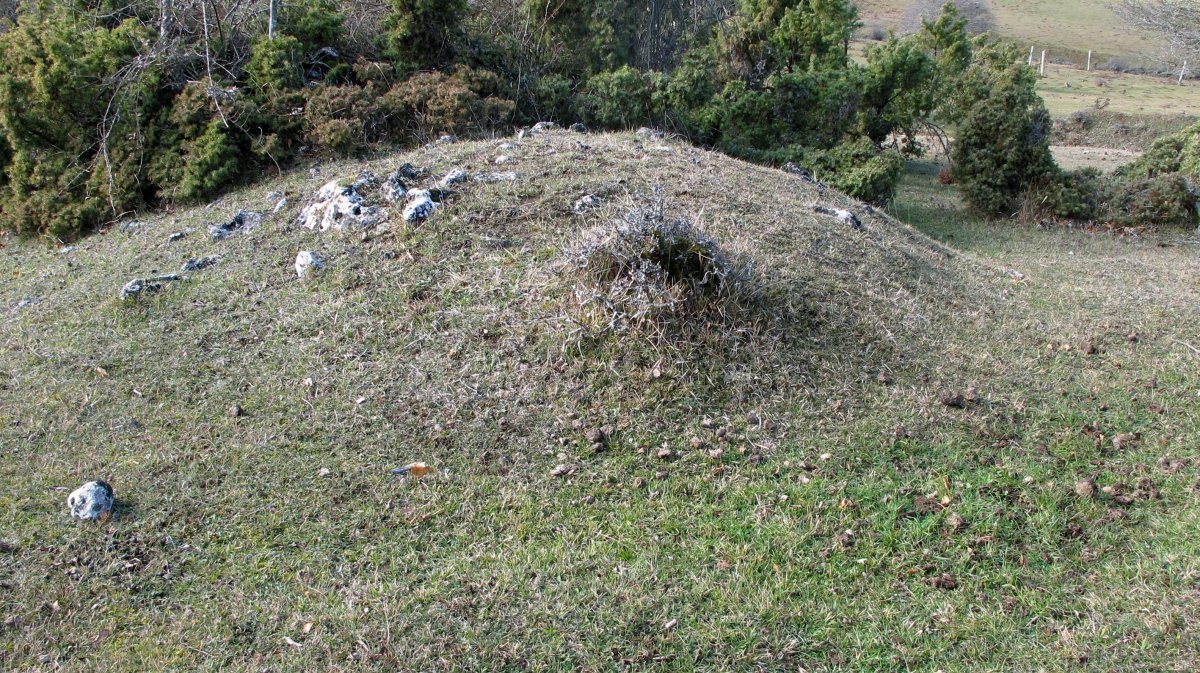 Ostalaza 2 (2-UTM-560422-4738394)