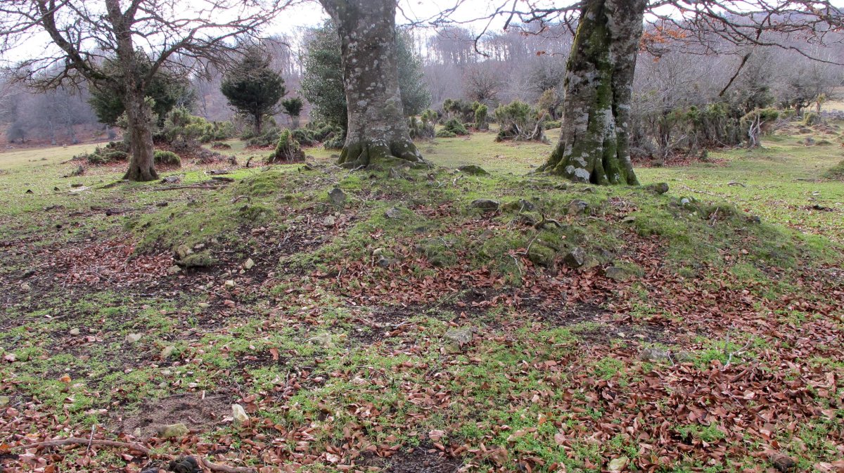 Ostalaza 3 (2-UTM-560127-4738518)