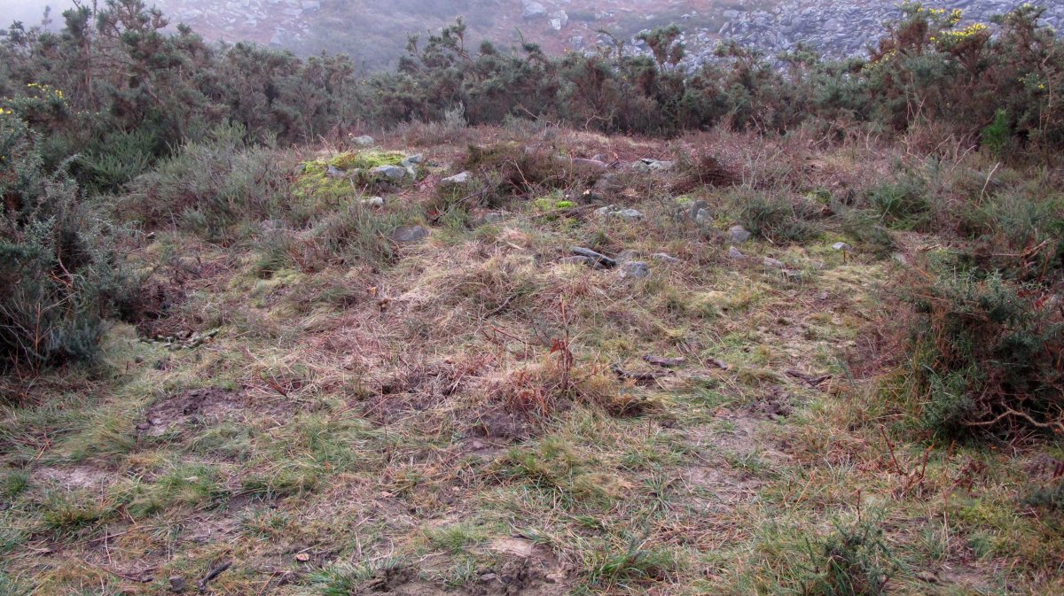 Androla II Hego trikuharria, Azkaine