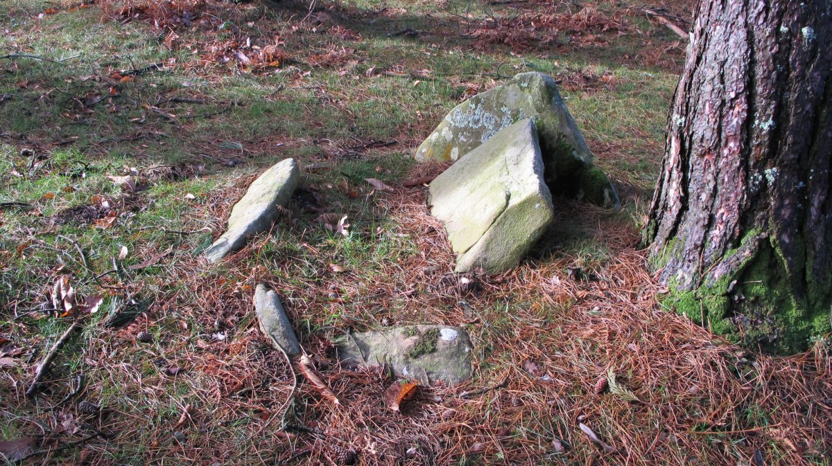 Les 3 Fontaines trikuharria, Azkaine