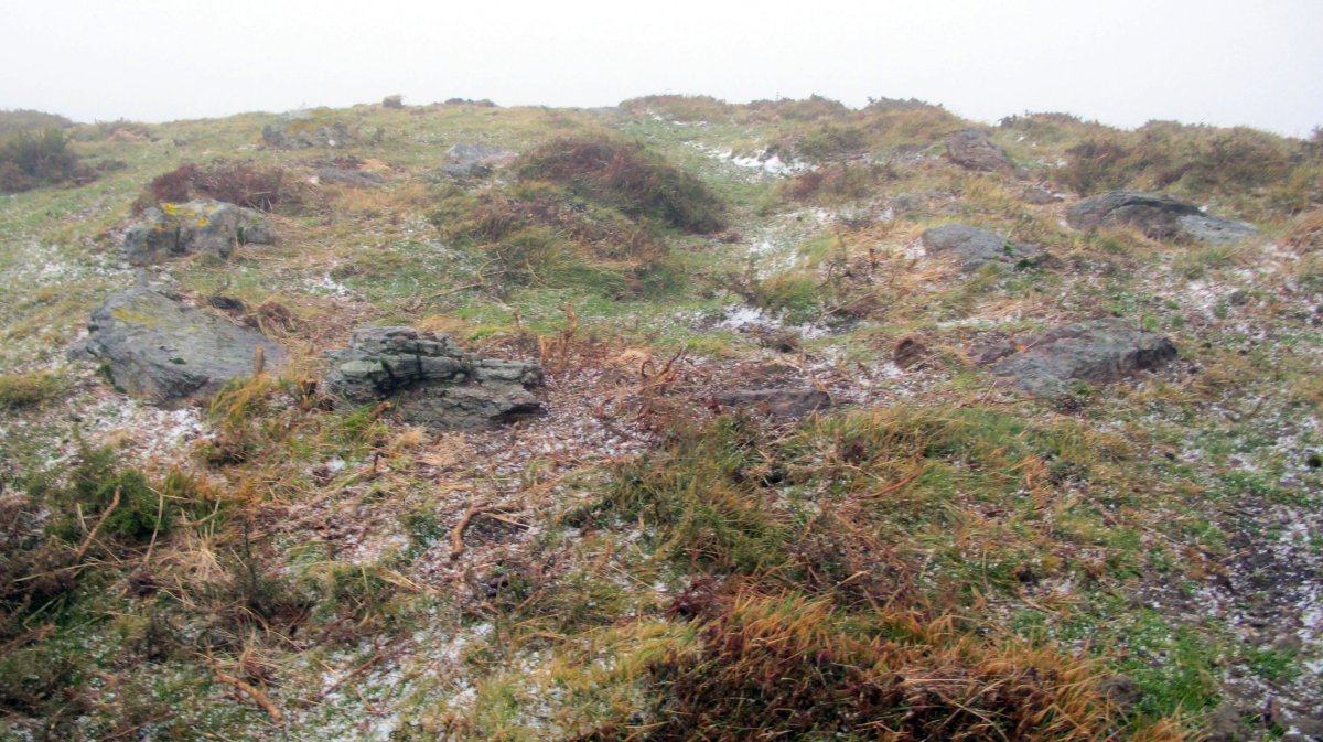 Urtsuia harrespila, Makea