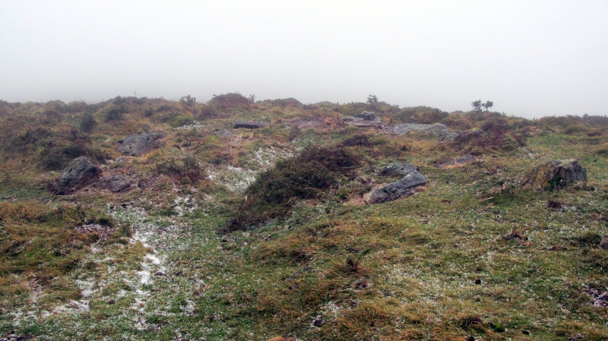 Urtsuia harrespila, Makea