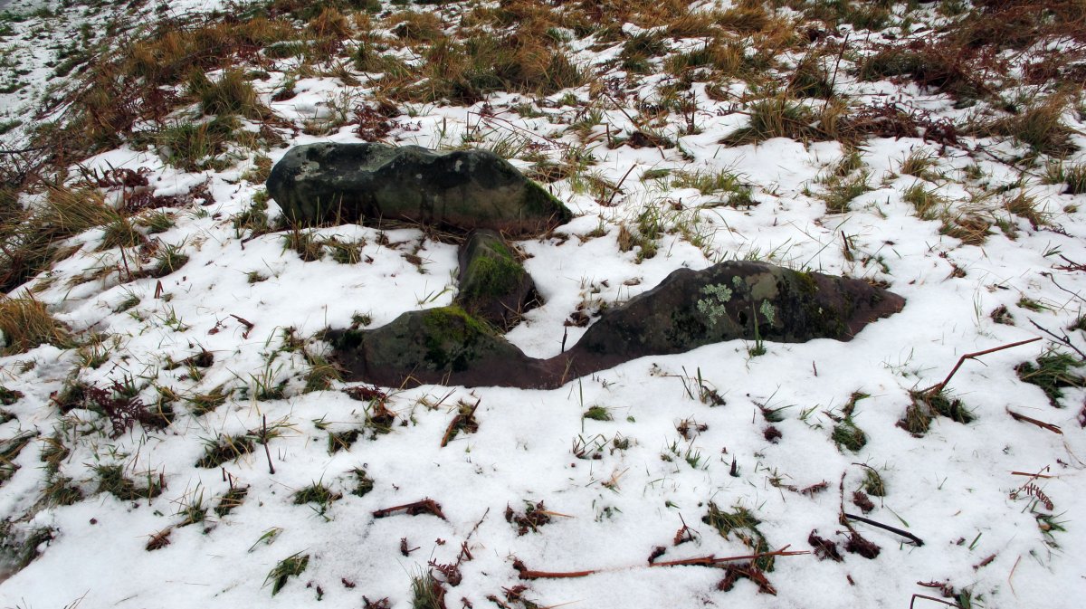 Jara 2 trikuharria, Irulegi