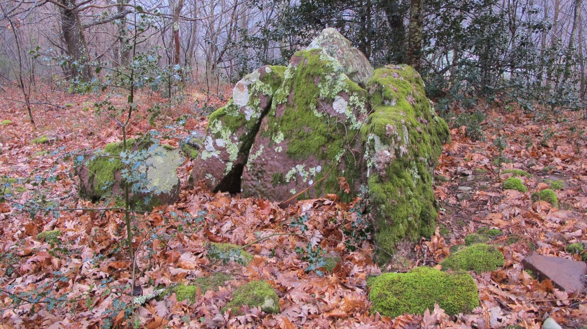 Arrondo trikuharria, Irulegi