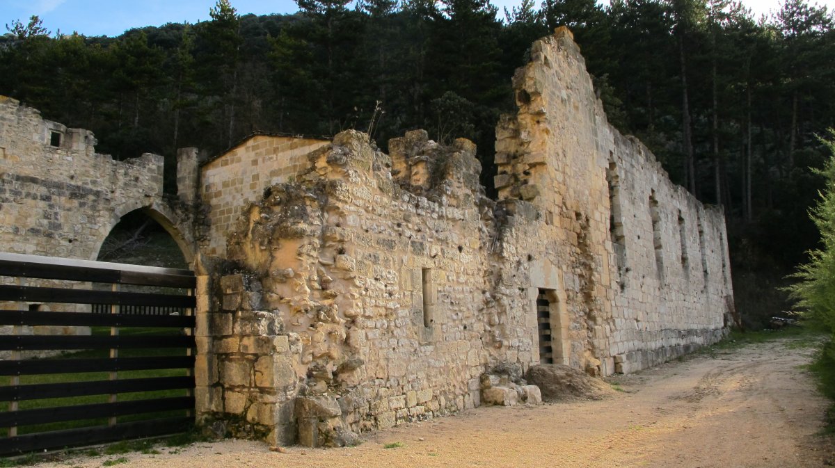 Irantzu monastegia, Abartzuza