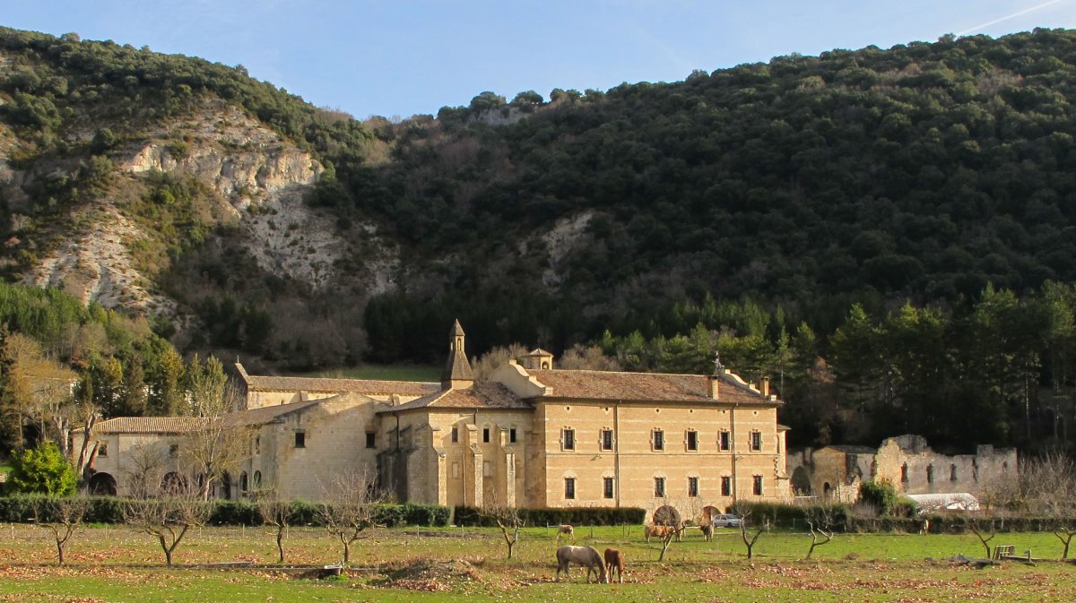 Irantzu monastegia, Abartzuza