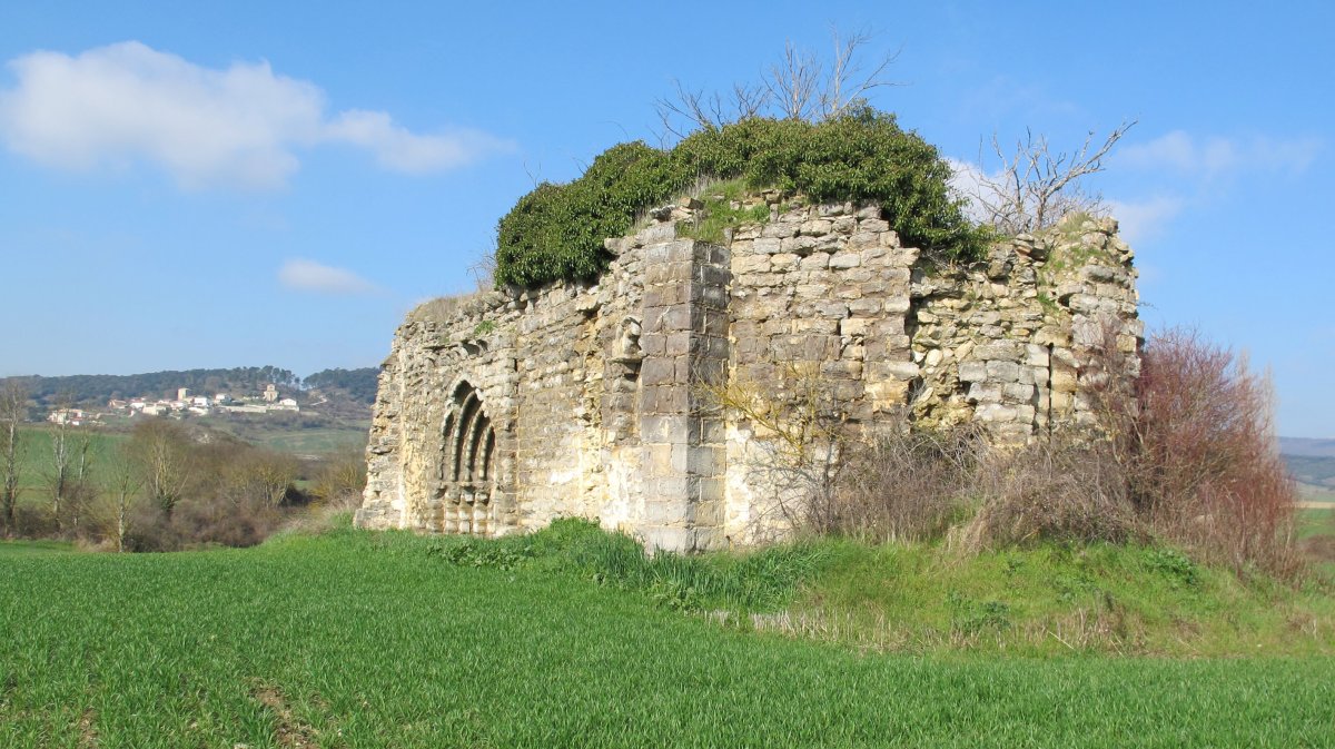 San Bartolome ermitaren hondakinak, Oltza