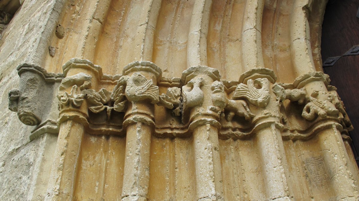 Orendain baseliza, Girgillao