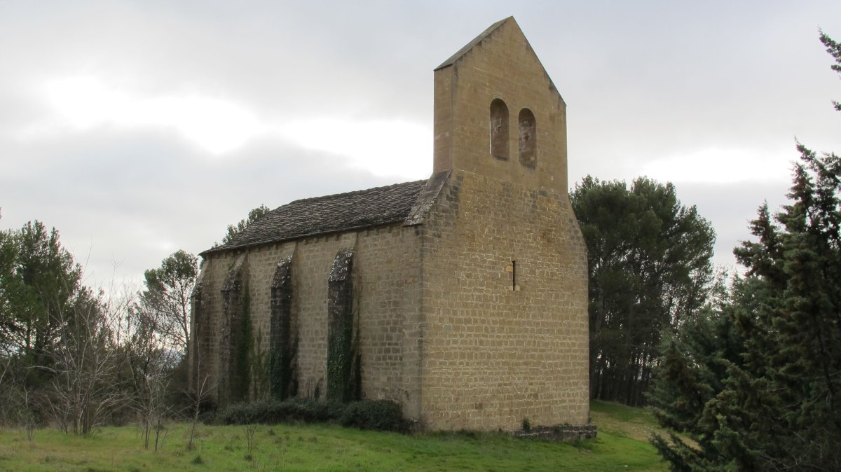 Orendain baseliza, Girgillao