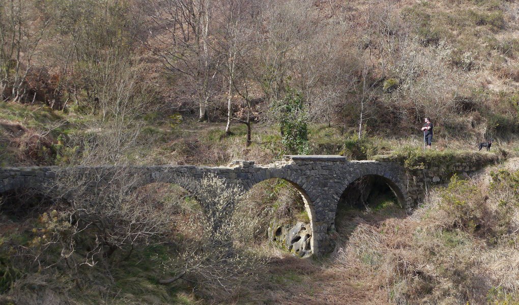 Kanal txiki baten paretik doa Talaia bidea tarte batzuetan