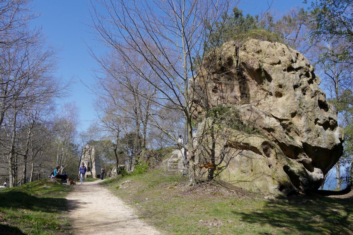 Tontorrerako Mendebaldeko bidea