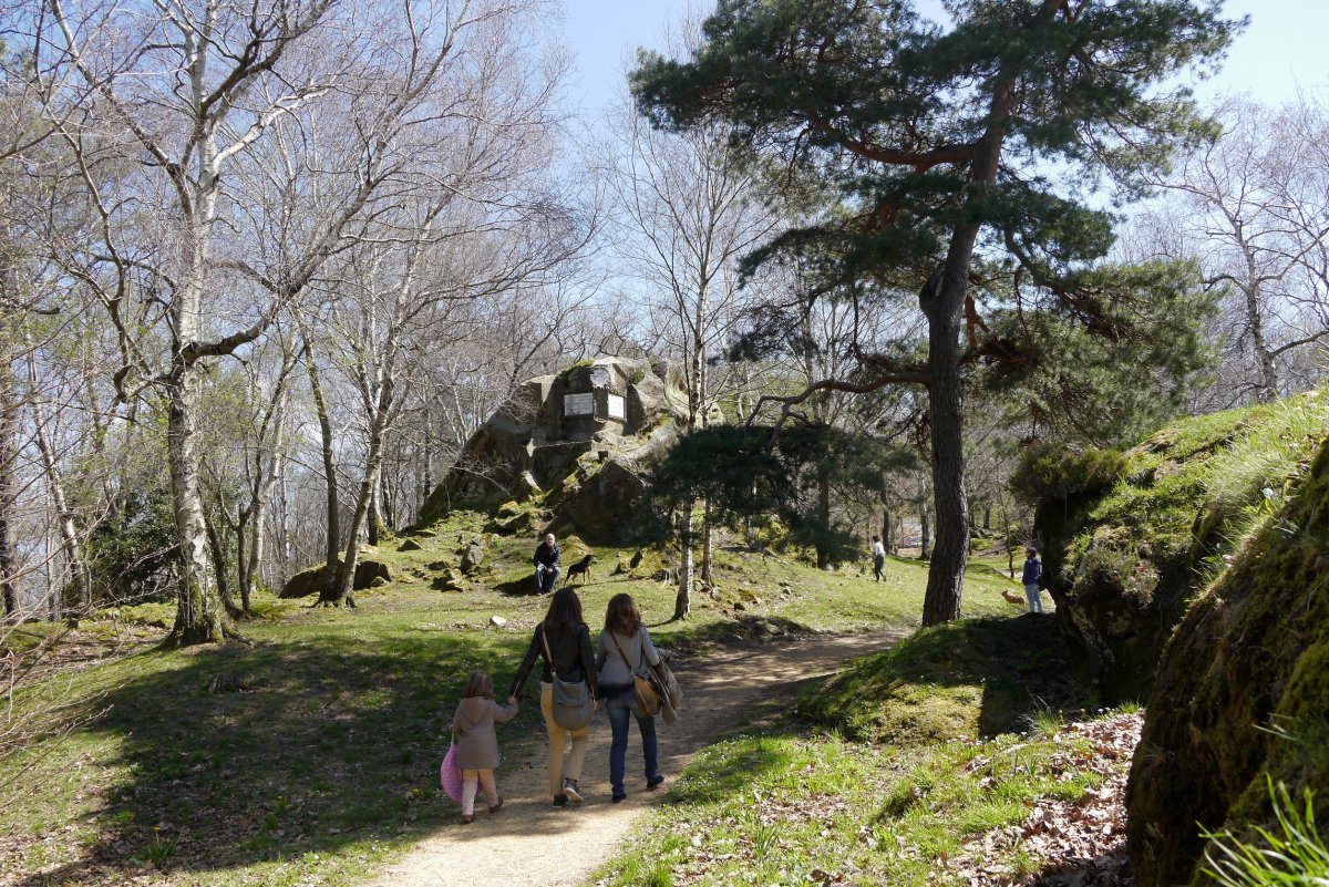 Tontorrerako Mendebaldeko bidea