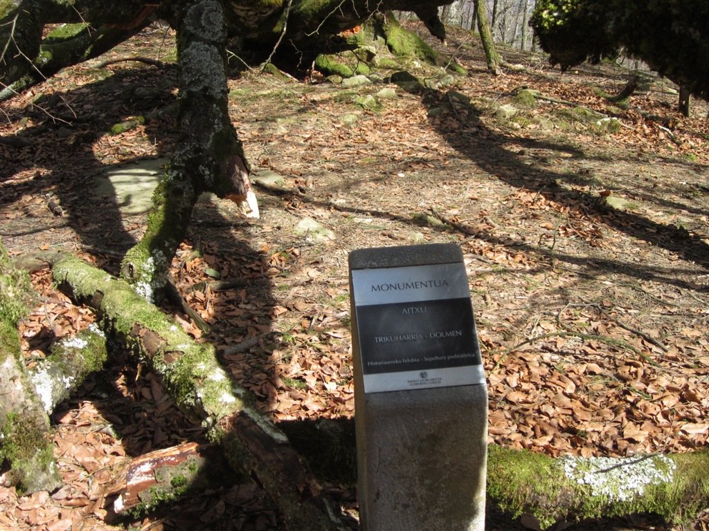 Dólmen Aitxu con una haya caída encima.