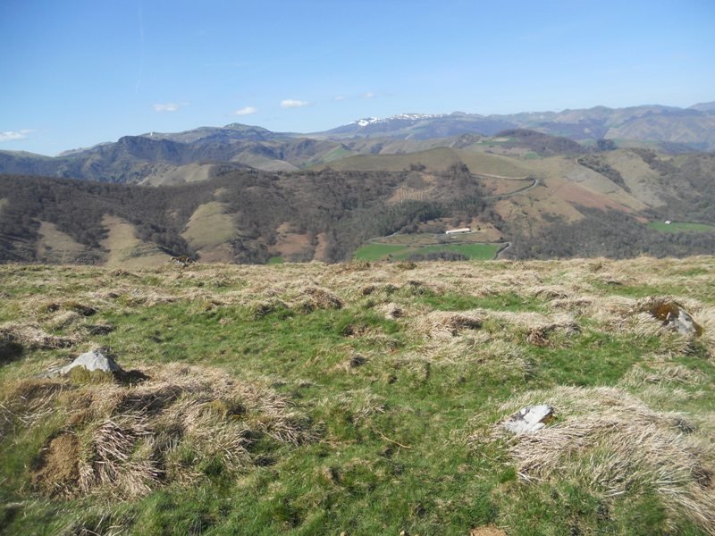 behorlegi mendebalde 1