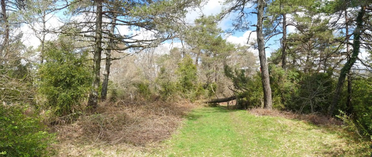 Otsakaingo Gaina (894m), Elixatoren iparraldean