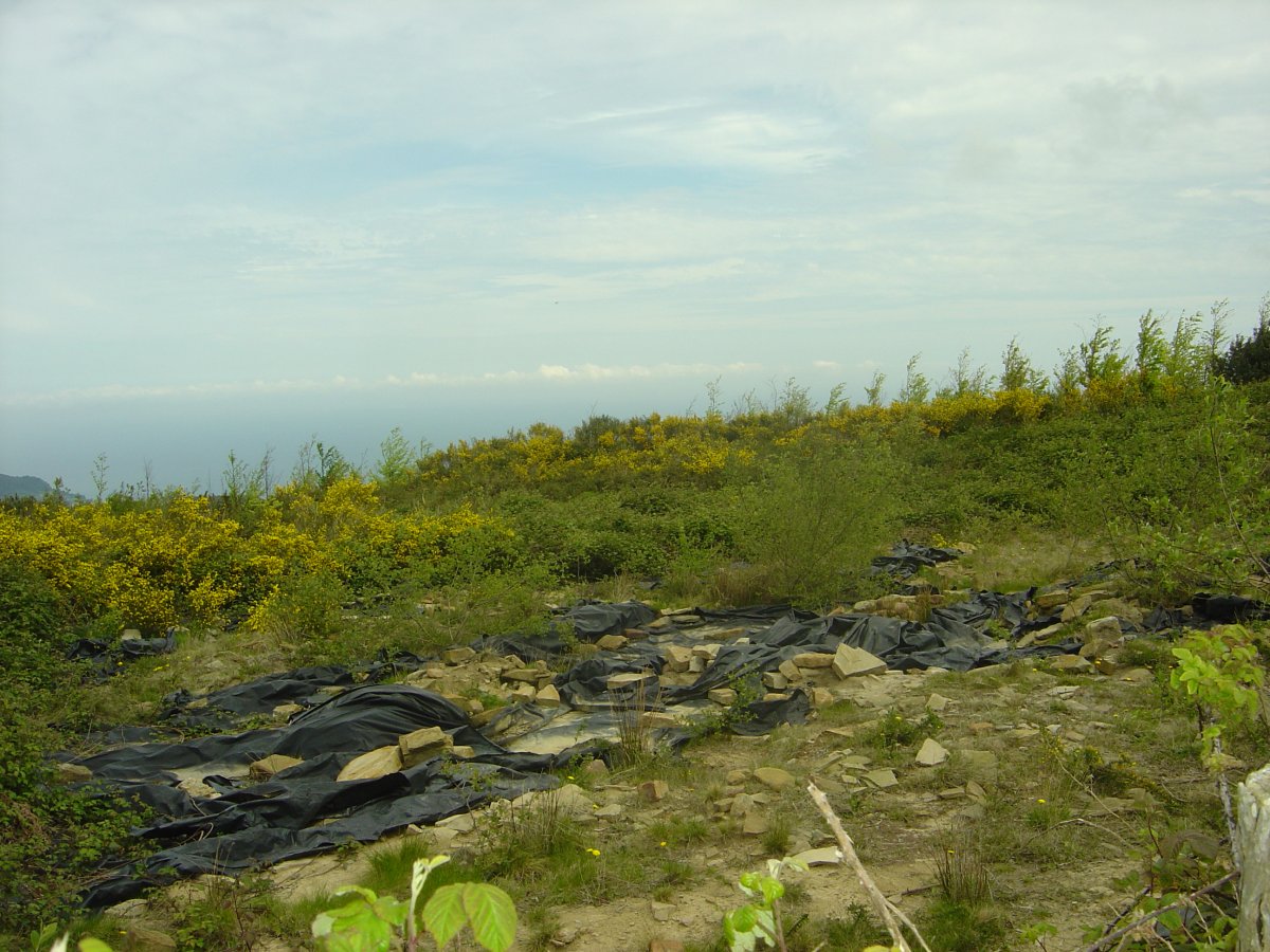 Sollube (Supuesto megalito) Abril 2011