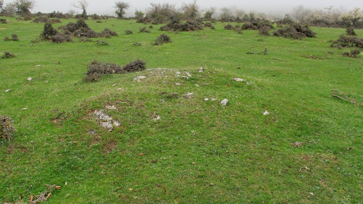 Rasos de Ezpola 8 tumulua, UTM. 566921/4738709/947 m.