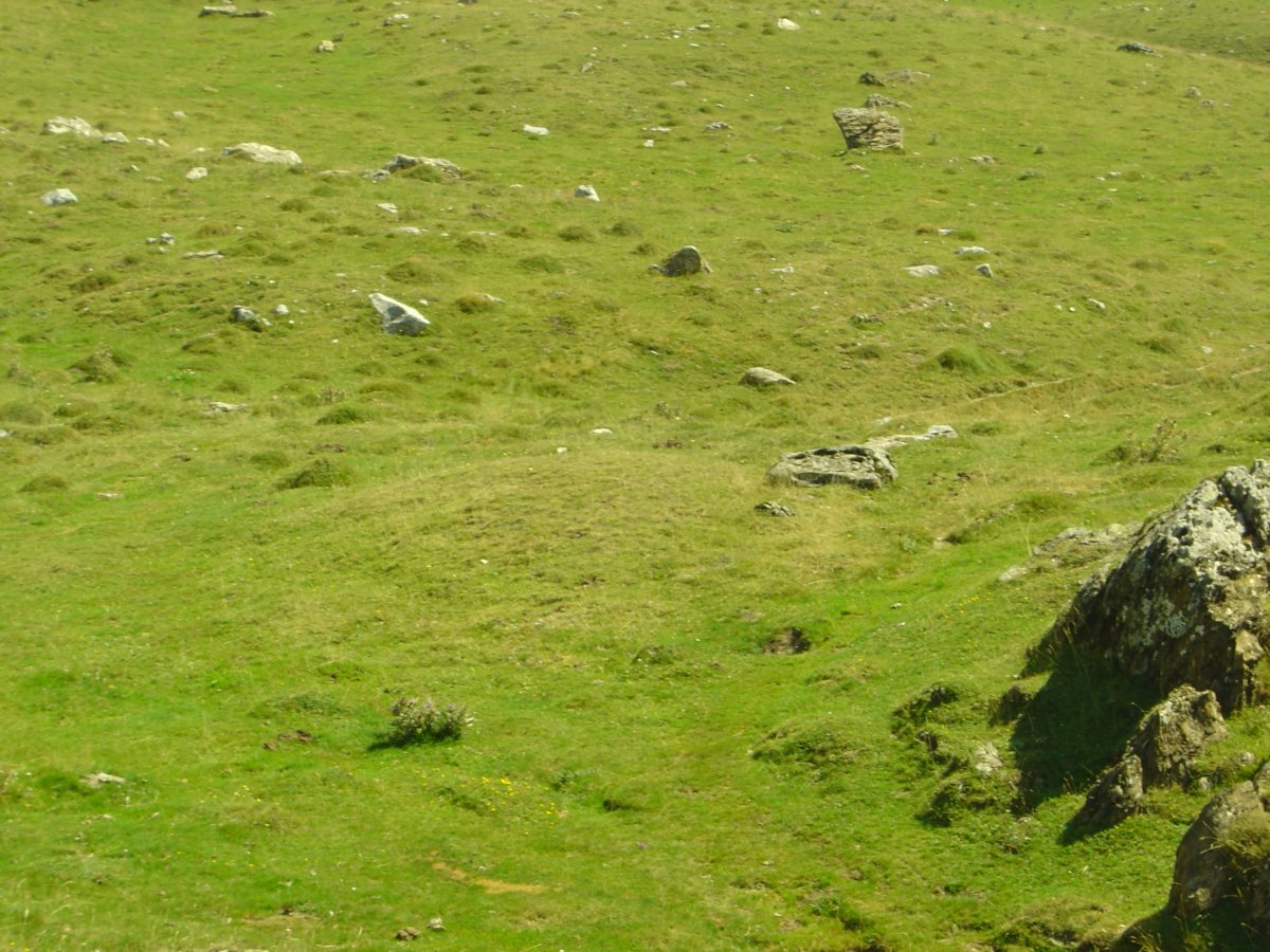 Eskilzarra Etxola Hondoa  Agosto 2011