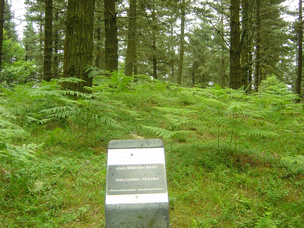 Dólmen Amabirjinen Baso  Junio 2011