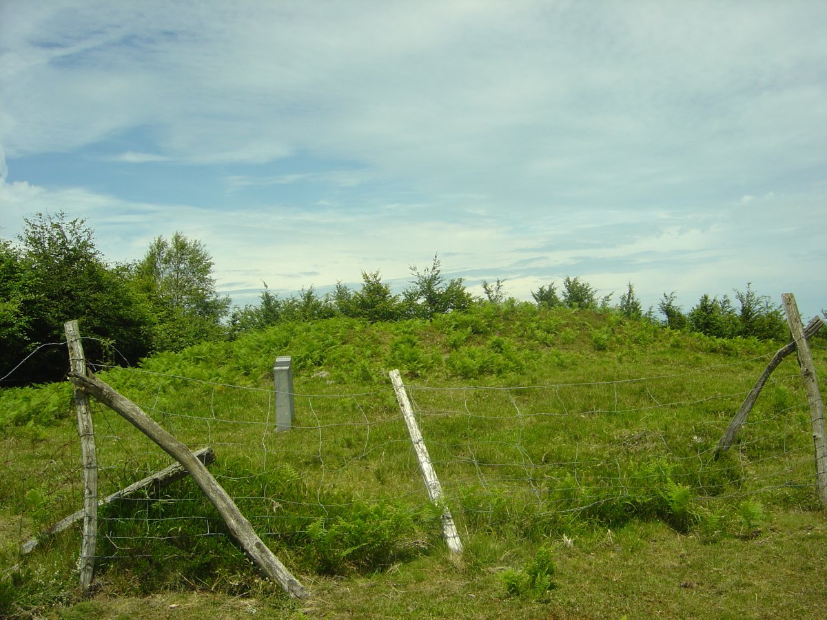 Dólmen Probazelaiburu 2 (Junio 2011)