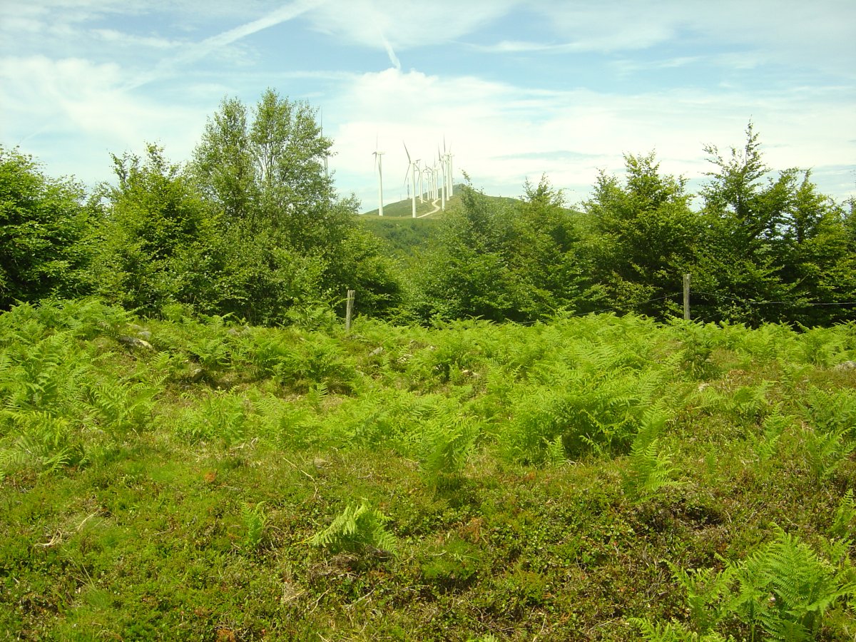 Dólmen Probazelaiburu 2  (Junio 2011)