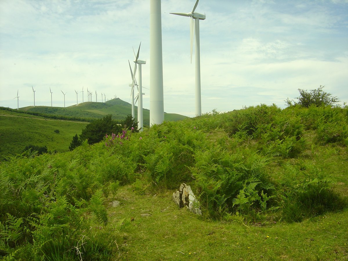 Dólmen Zengotitagañe  (Junio 2011)