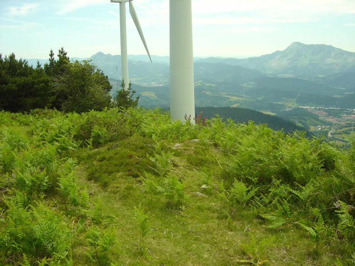 Dólmen Zengotitagañe (Junio 2011)