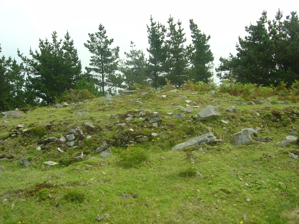 Túmulo Campo Ventoso 3 (Julio 2011)