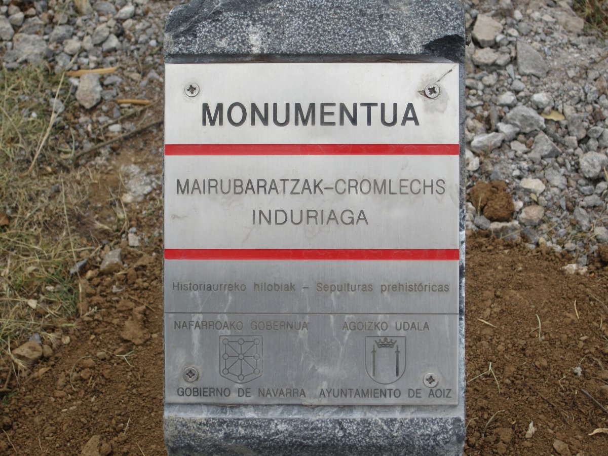 Cromlechs Induriaga Junio 2012