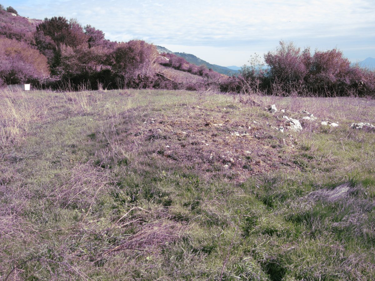 Fondo de Cabaña Solla    (Octubre 2012)