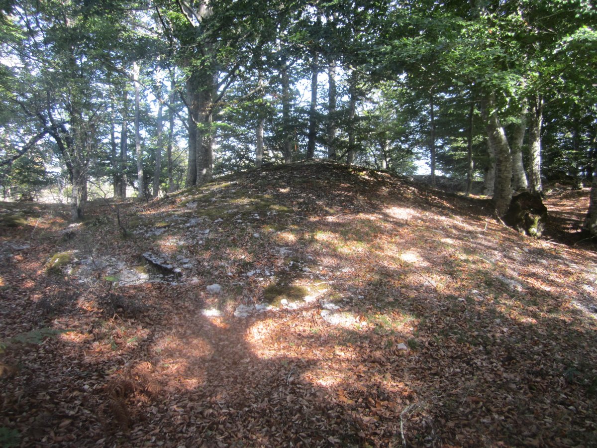 Túmulo Alto del Mojón (Octubre 2012)