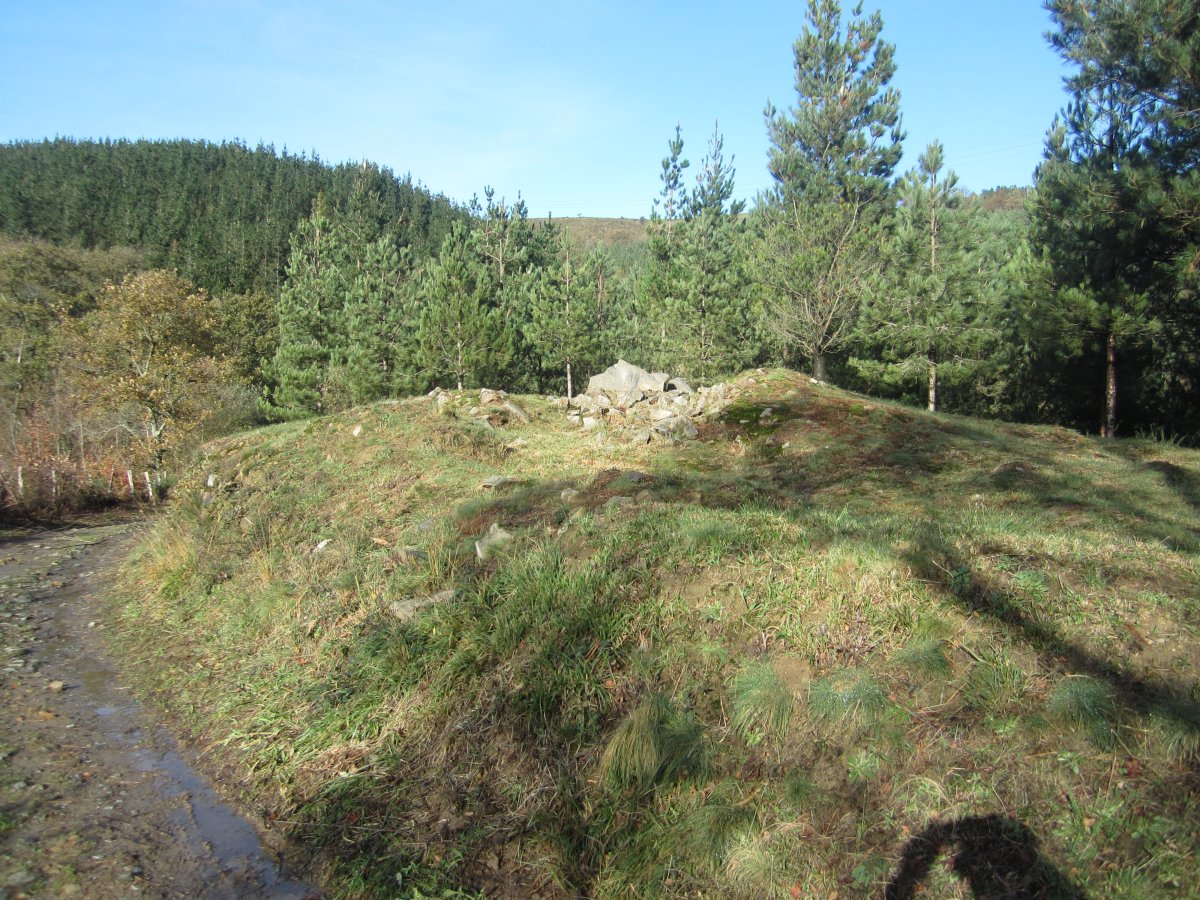 Dólmen Venta Zarate (Diciembre 2012)