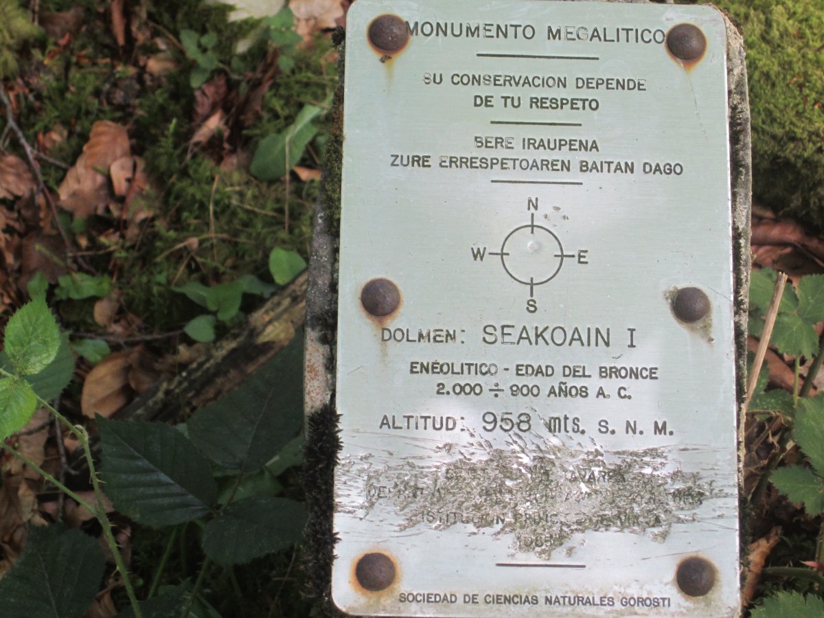Dólmen Seakoain 1 Hego  (Julio 2012)