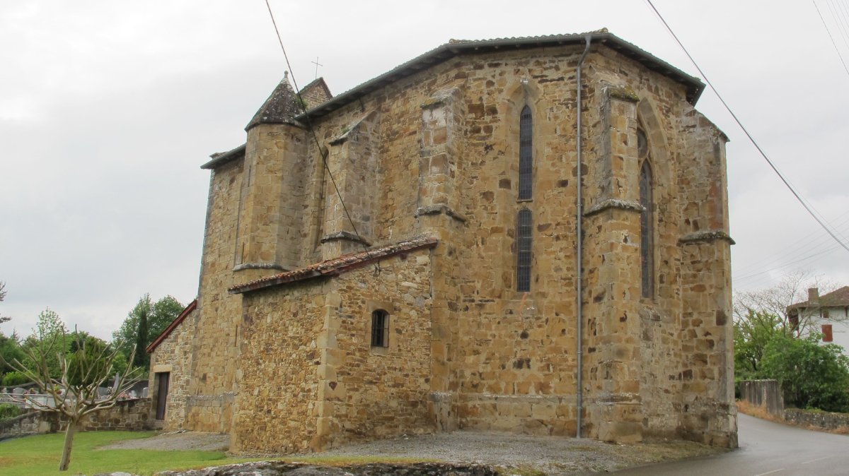 Asuncion eliza, Erango