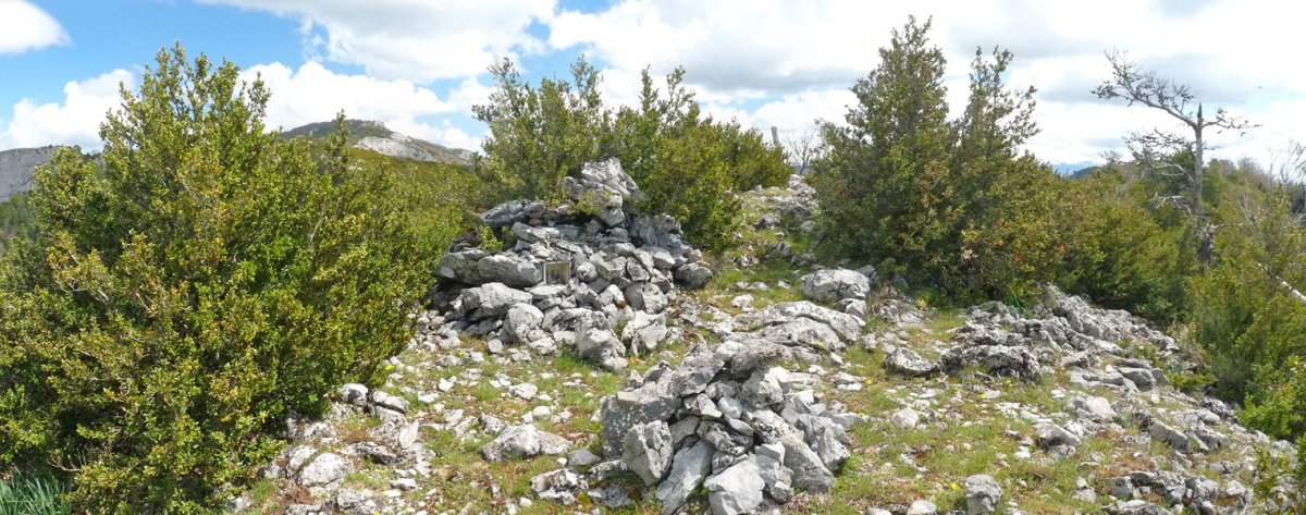 Aritzgañako gailurra