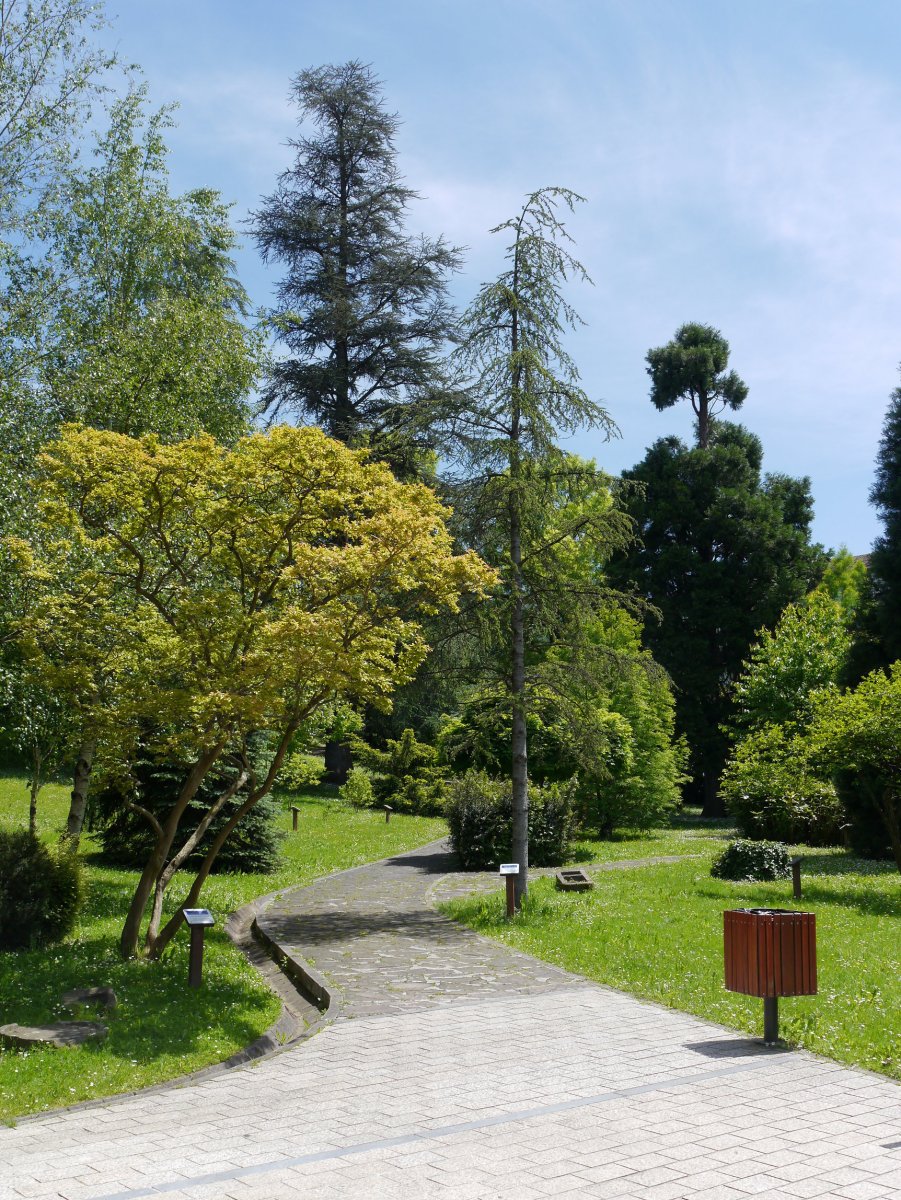 Lorategi botanikoa, Idiazabal