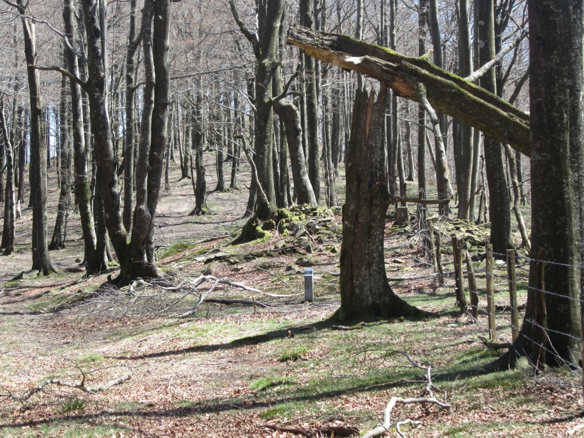 Dólmen Argoniz Abril 2013