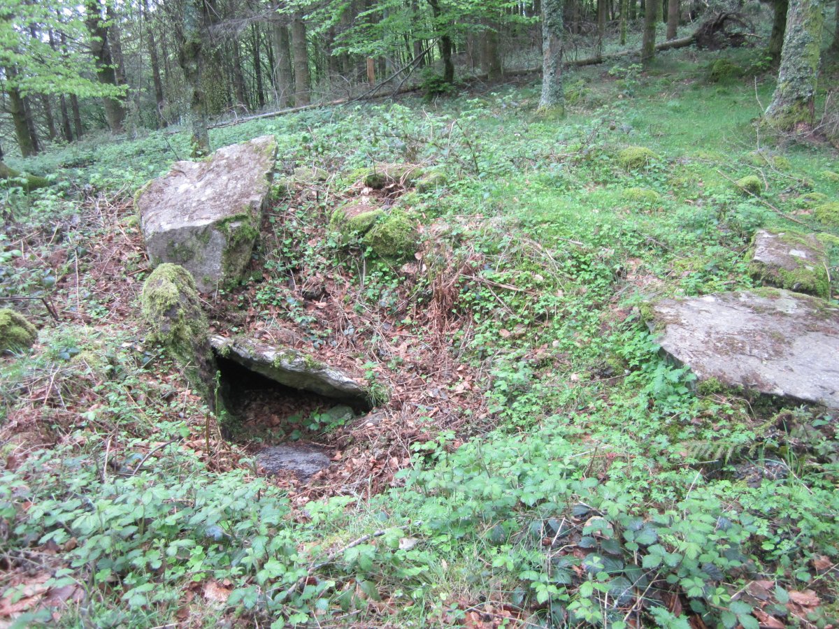 Dólmen Agerreburu    Mayo 2013