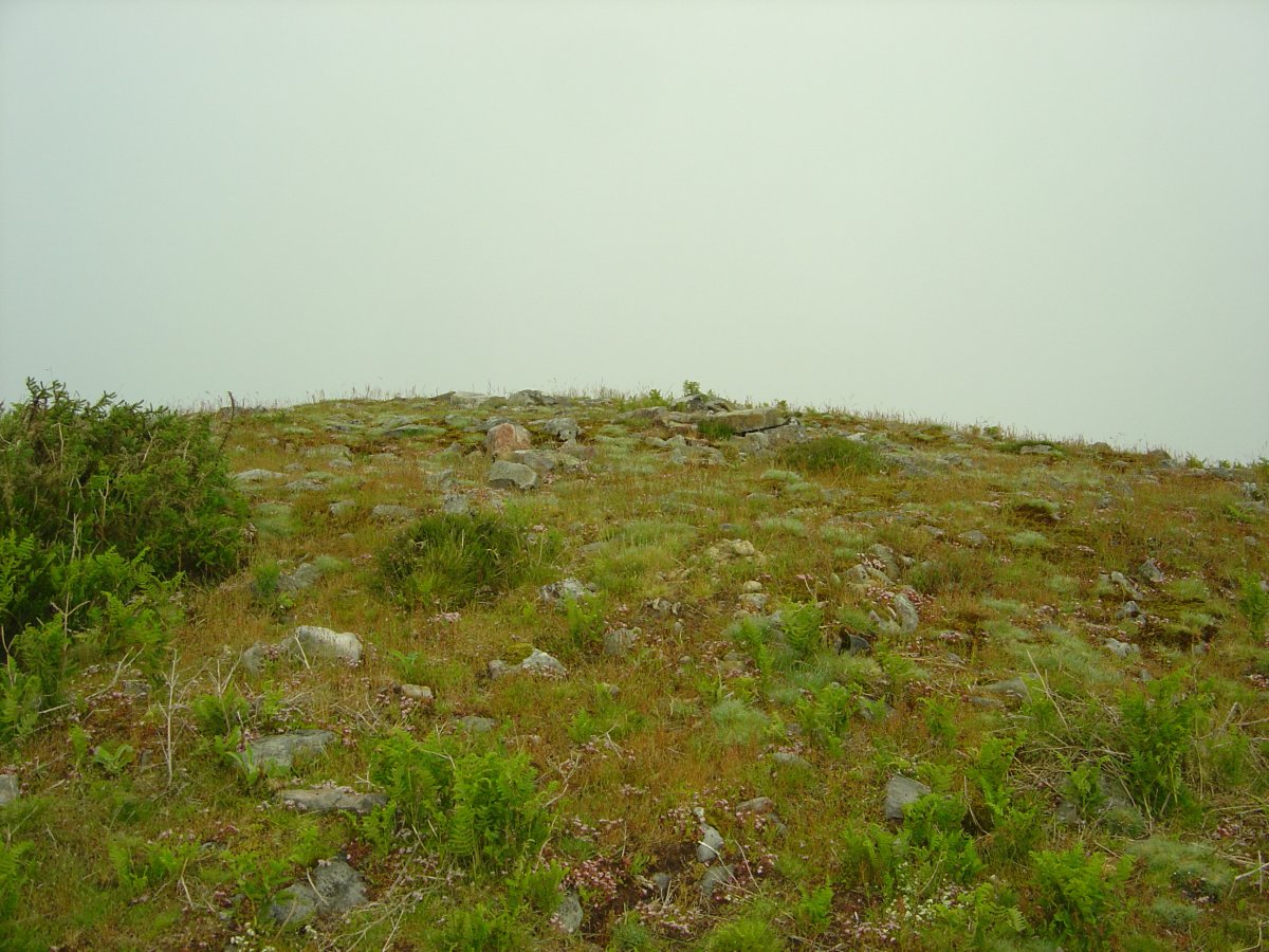 Dólmen Saiputzueta (06-2009)