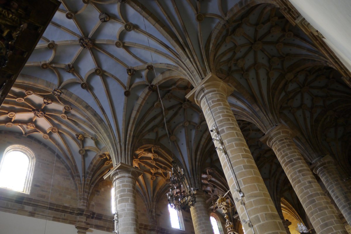 Andra Maria eliza, Deba