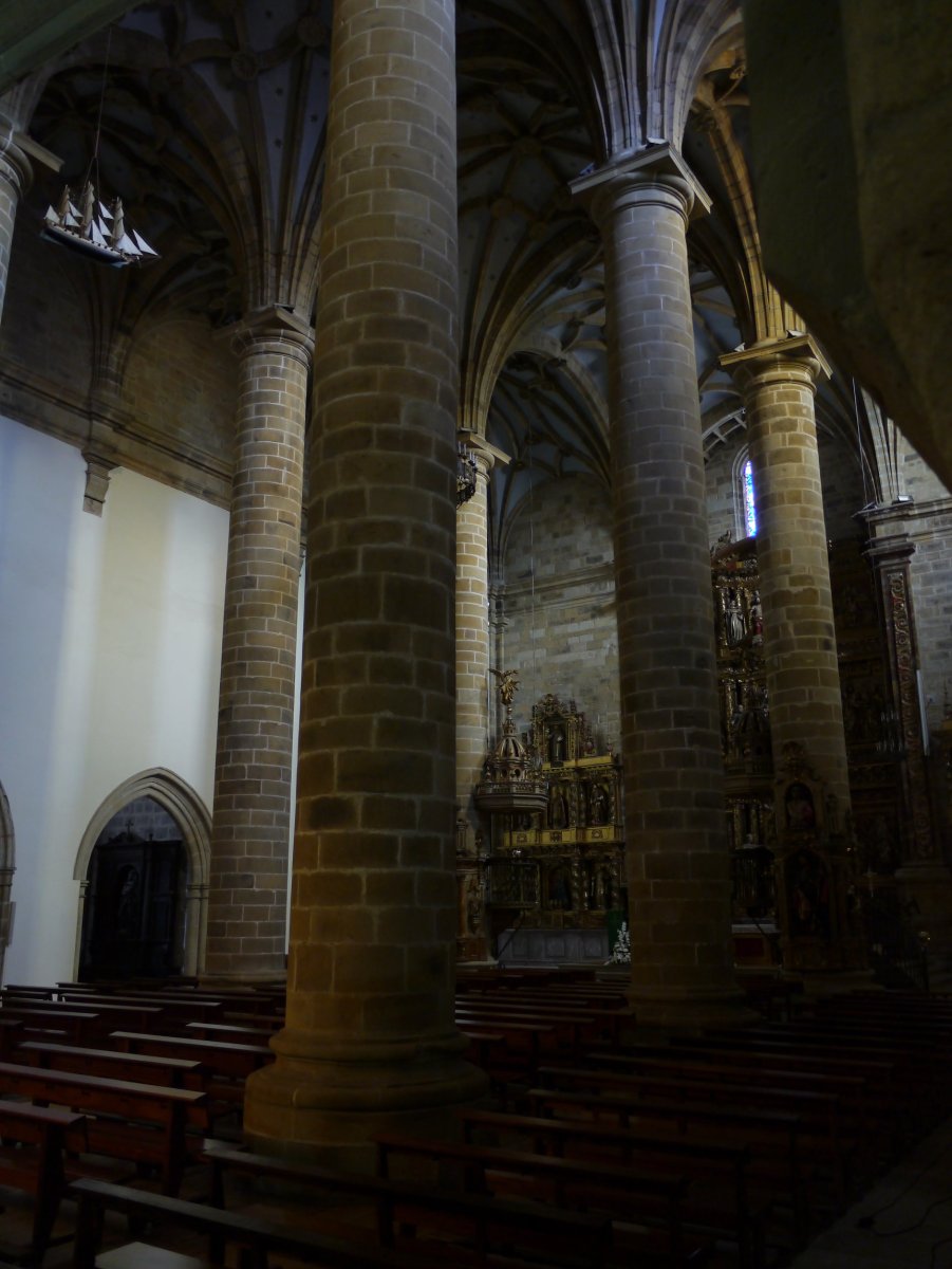 Andra Maria eliza, Deba