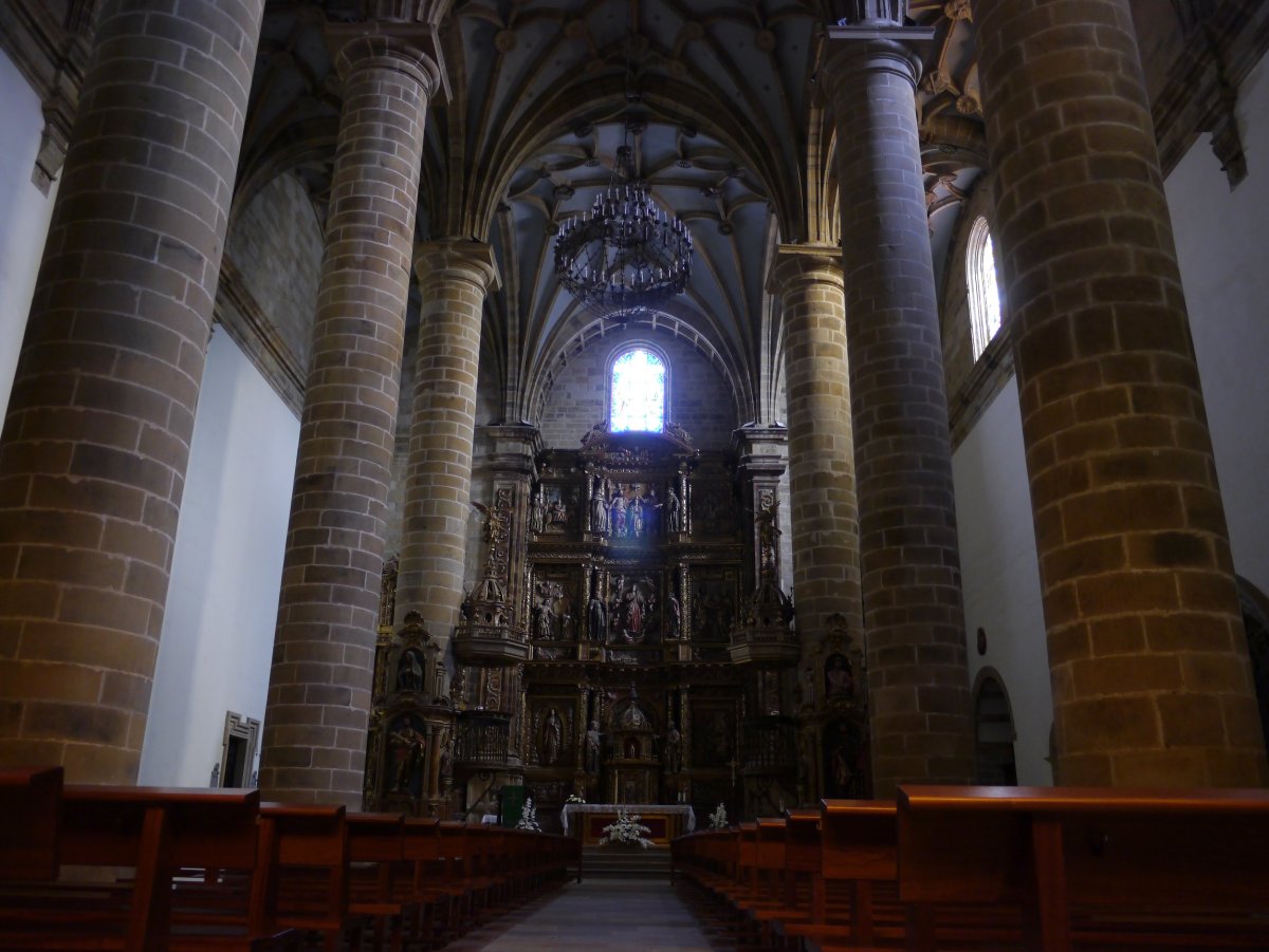 Andra Maria eliza, Deba